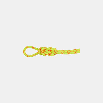 9.5 Alpine Core Protect Dry Rope 60m