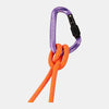 Classic HMS Screwgate Carabiner in Screw Gate, alpine calamint, Biners and Quick draws - main product image