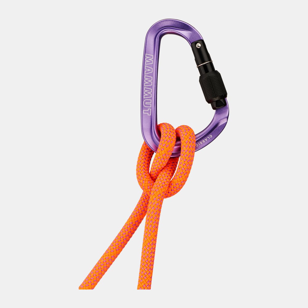 Classic HMS Screwgate Carabiner in Screw Gate, alpine calamint, Biners and Quick draws - main product image